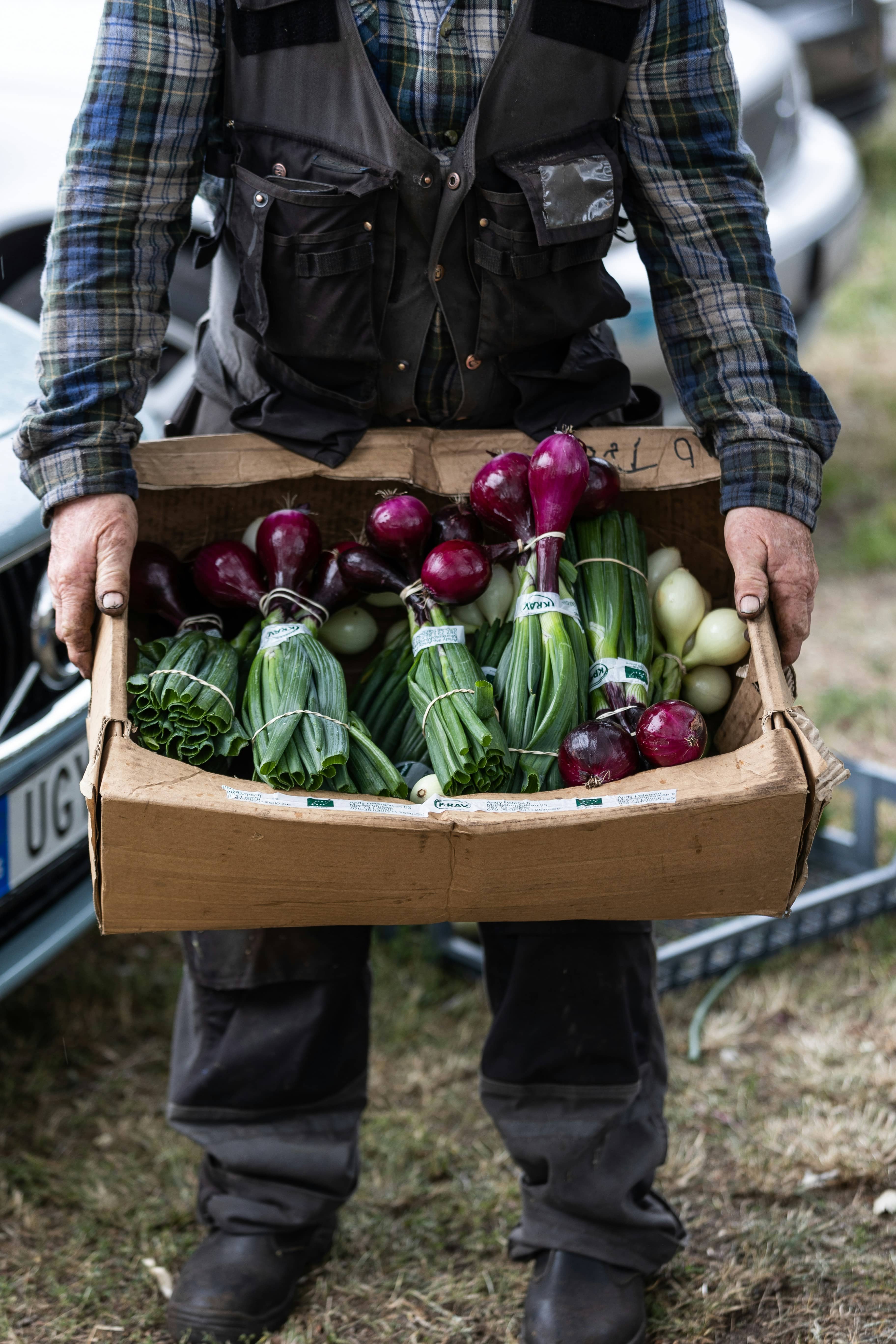 A farmer holding a cardboard box of red onions and bunches of spring onions.