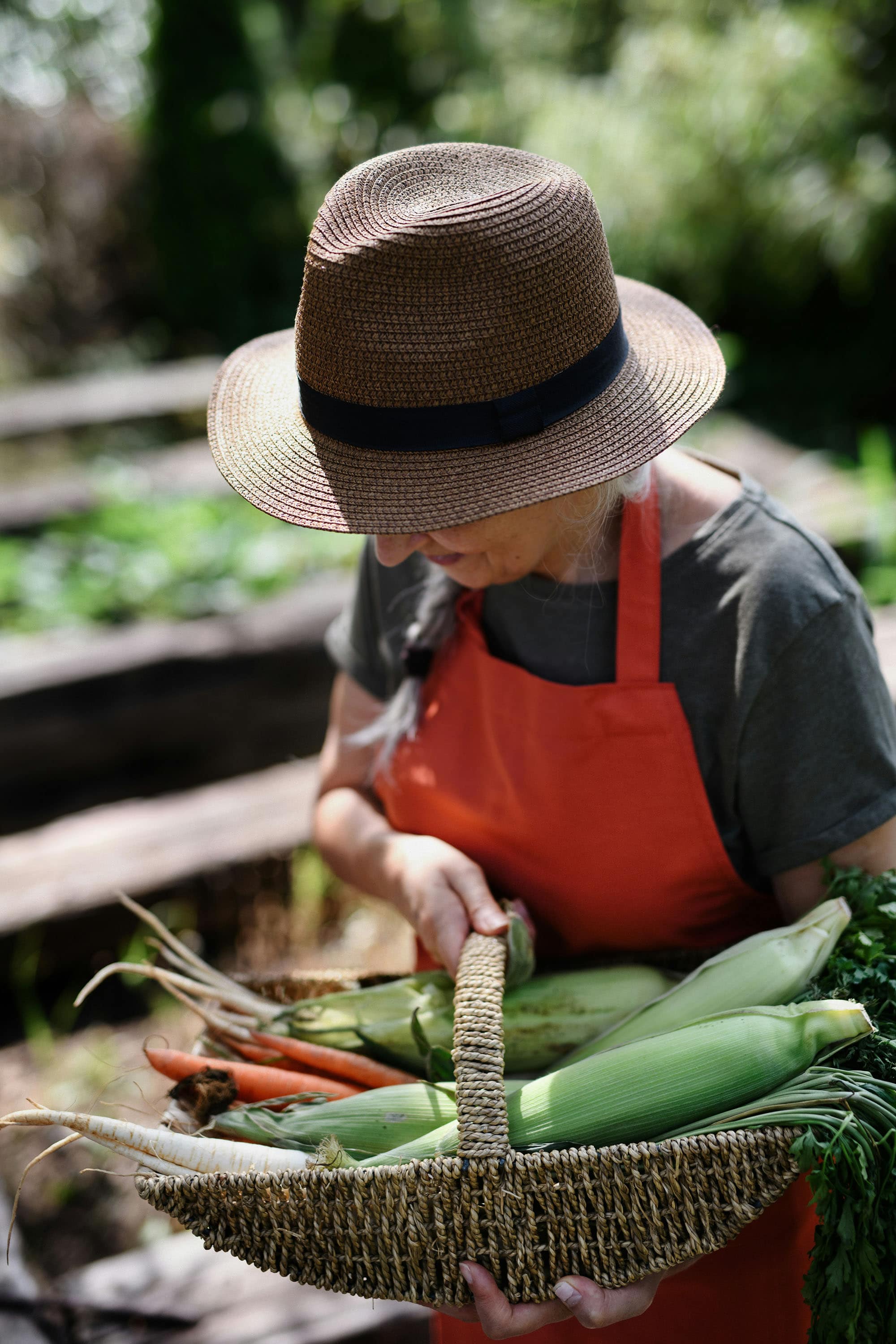 An older woman in a straw hat and red apron holding a basket of just-harvested corn and carrots.