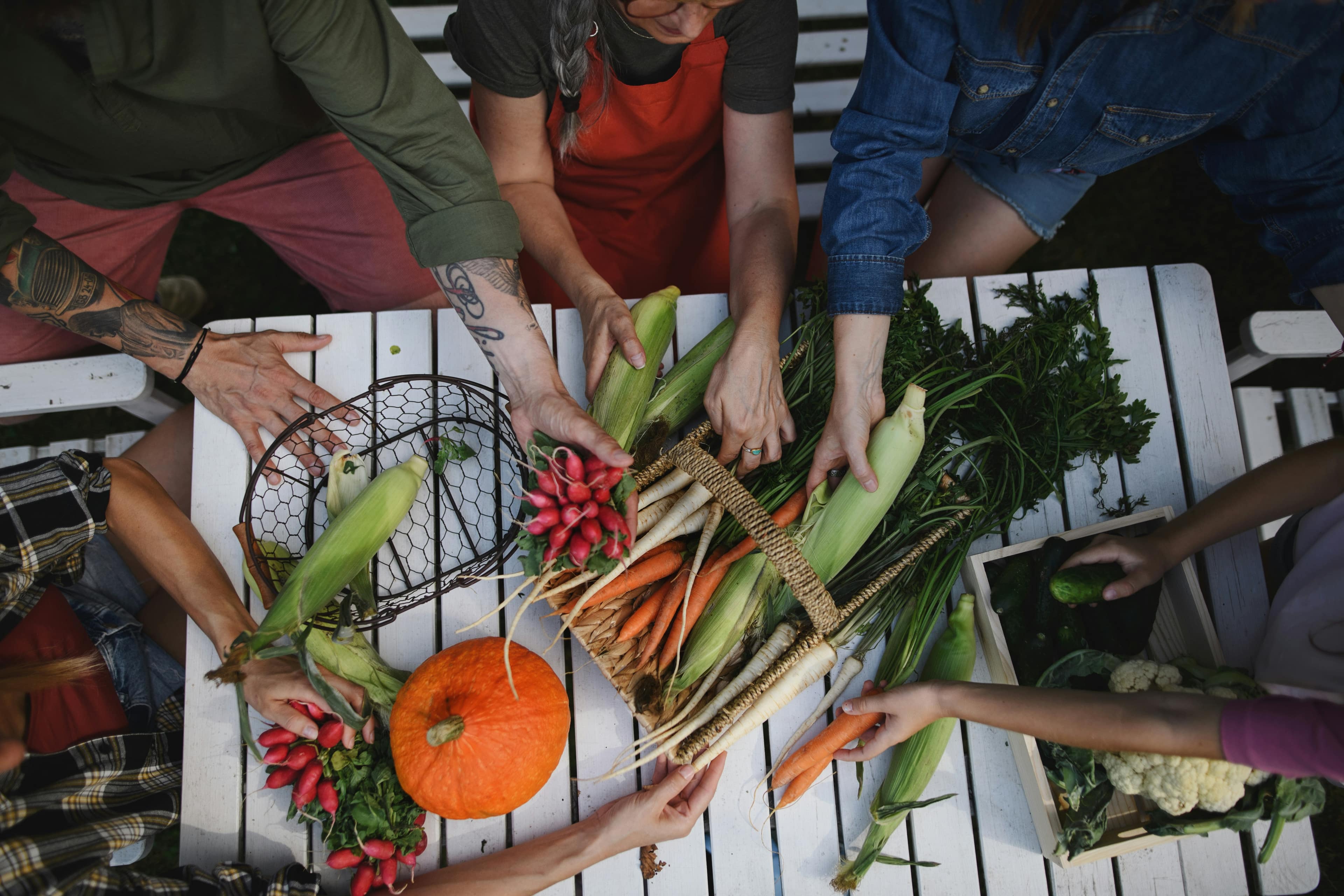 An overhead view of many hands sorting fresh vegetables on a white farm table.